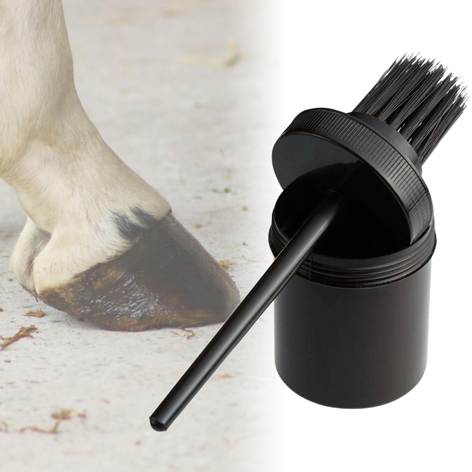 Cepillo para aceite de pezuñas - Grooming Kit Horse reseña y precio