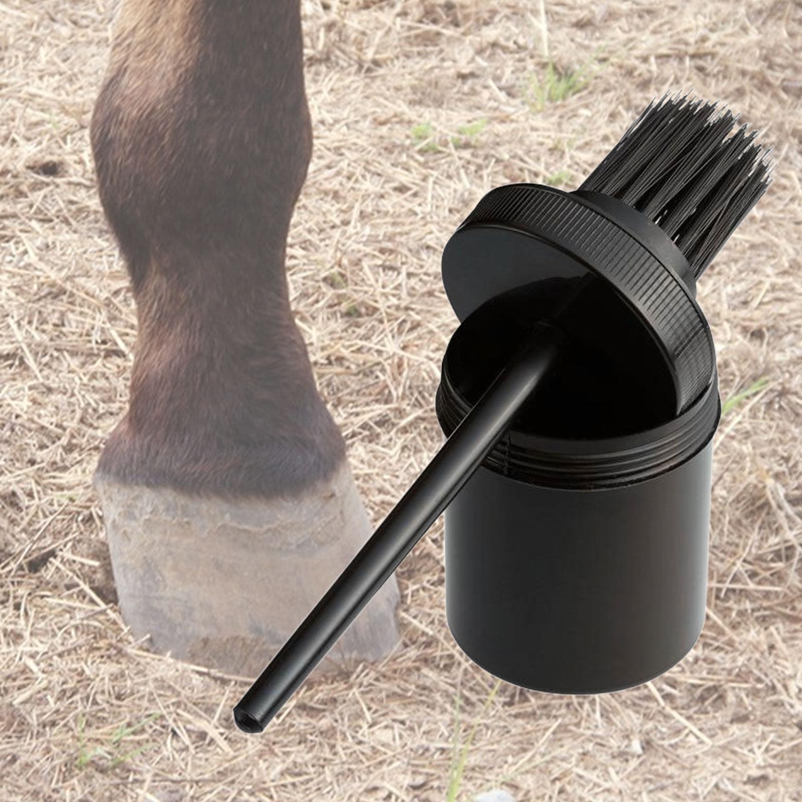 Cepillo para aceite de pezuñas - Grooming Kit Horse reseña y precio